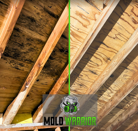 Mold Warrior attic before and after remediation